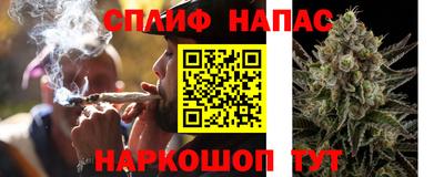 мдпв Гусь-Хрустальный