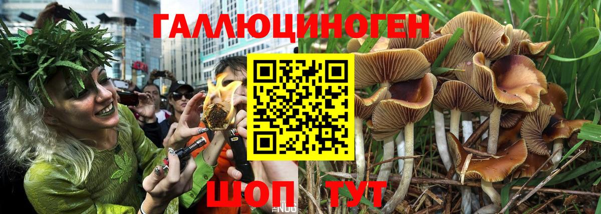 Назарово  купить закладку  Вход с VPN  Галлюциногенные грибы MAGIC MUSHROOMS  Псилоцибиновые грибы Psilocybine cubensis 